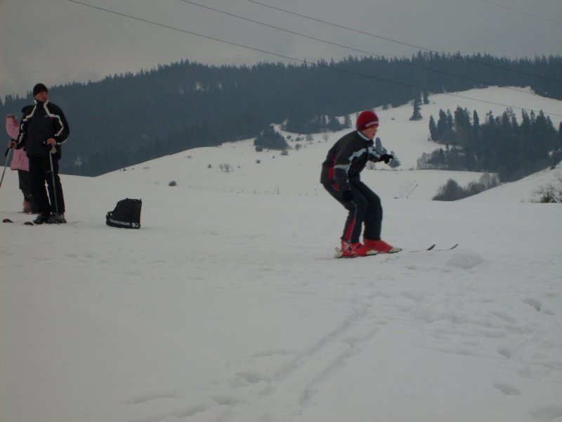 s6300417.jpg